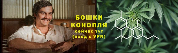 ГАЛЛЮЦИНОГЕННЫЕ ГРИБЫ Алексеевка
