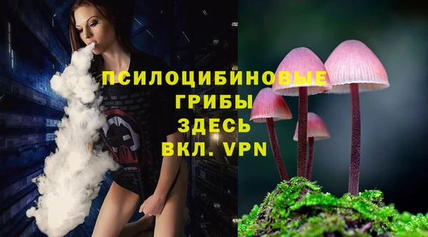 ГАЛЛЮЦИНОГЕННЫЕ ГРИБЫ Алексеевка
